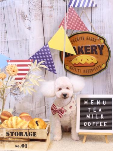 20240920あんちゃん